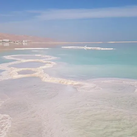 Aloni - Guest House Dead Sea Neve Zohar Extérieur photo