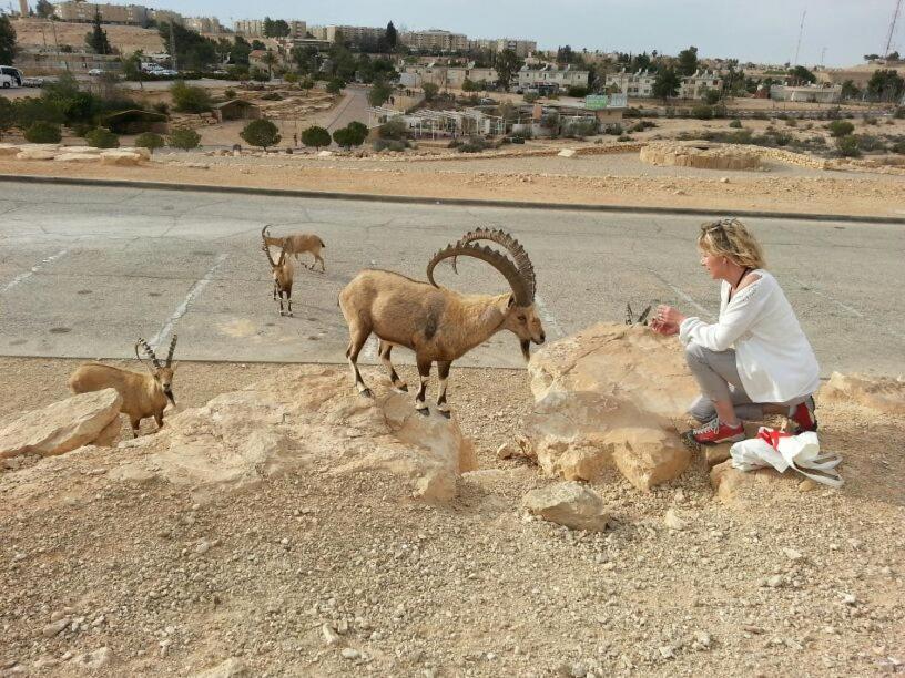 Apartment Aloni - Guest House Dead Sea