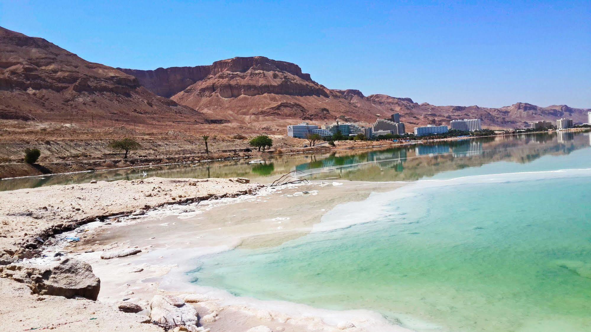 Aloni - Dead Sea * Neve Zohar